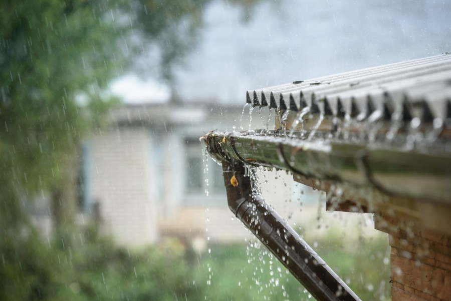 Comment conserver l'eau de pluie dans une cuve ?