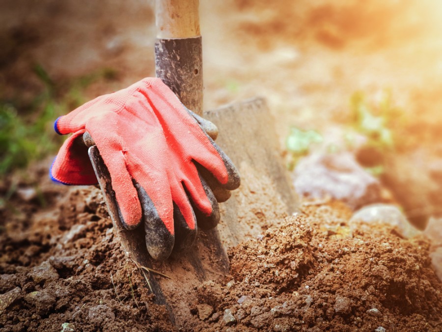 Comment créer une petite mare dans son jardin ?