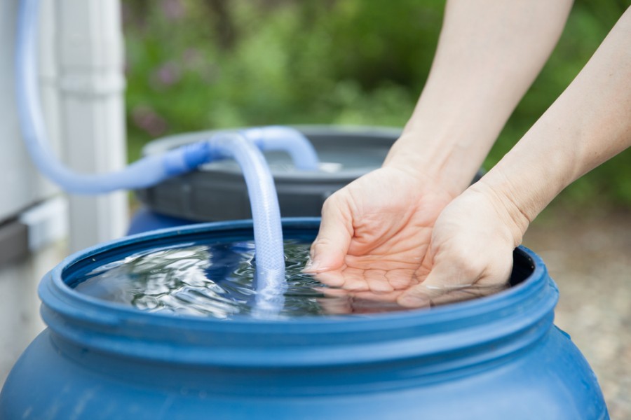 Quelle est la bonne taille d'un récupérateur d'eau de pluie ?