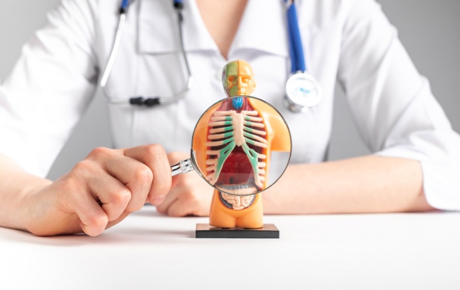 Quels sont les symptômes d'un diaphragme bloqué ? Quels sont les symptômes d'un diaphragme bloqué ?